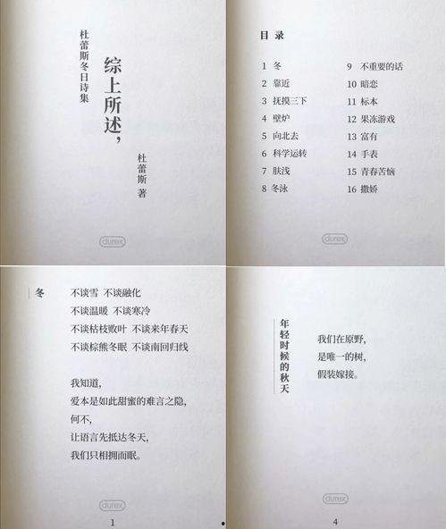 明星团队文案,共创辉煌未来